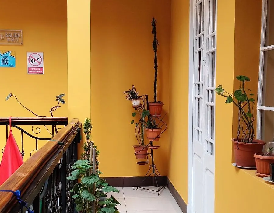 Wake Up Hostel-1